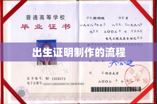 岳普湖出生证明制作的流程